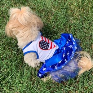 Small dog 4th of July dress